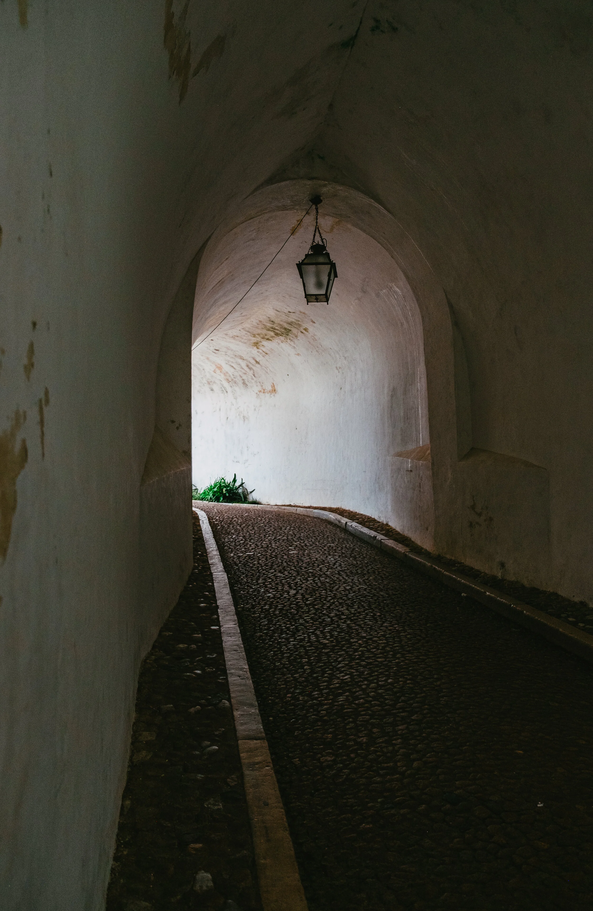 DSCF5860.jpg