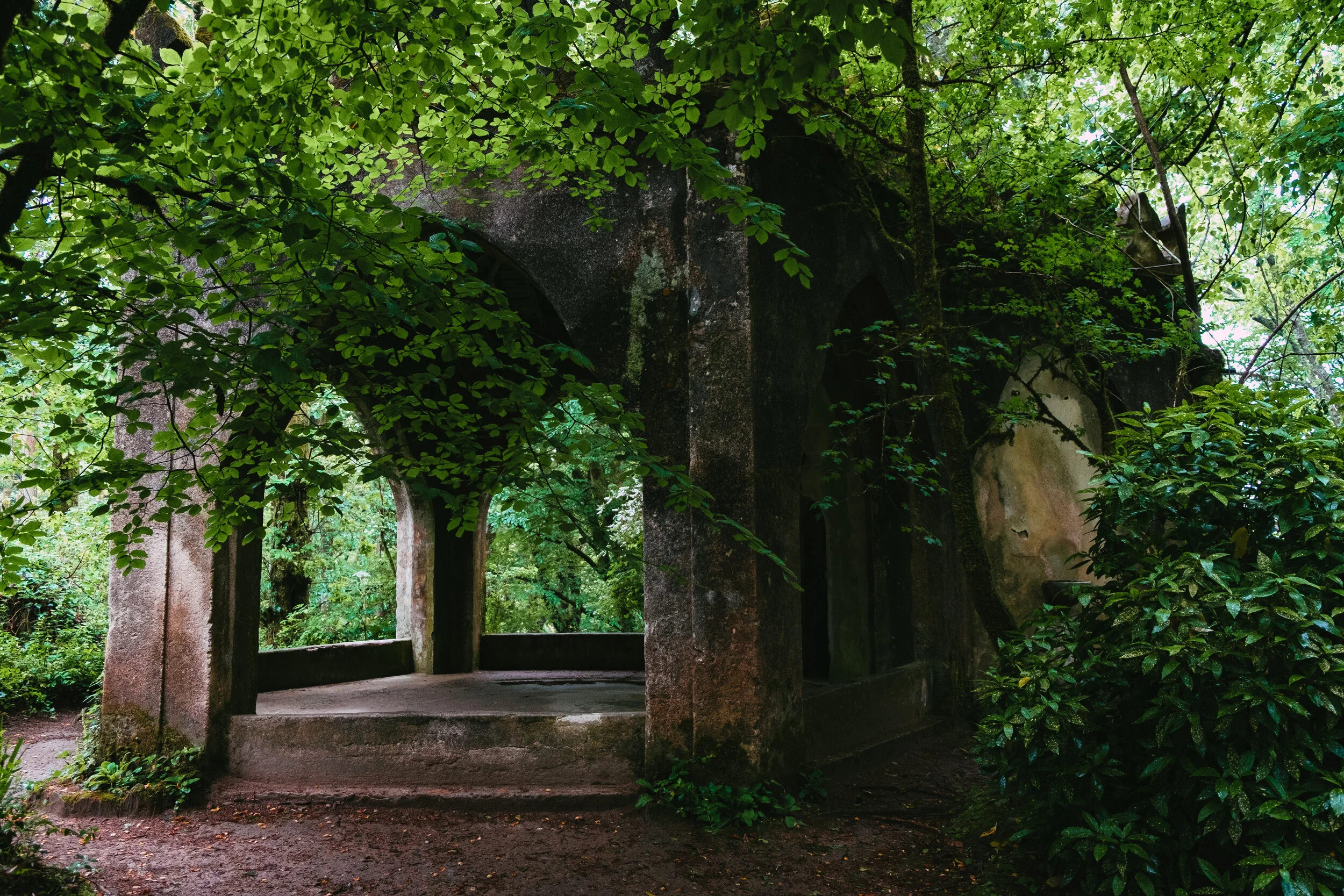 DSCF5918.jpg