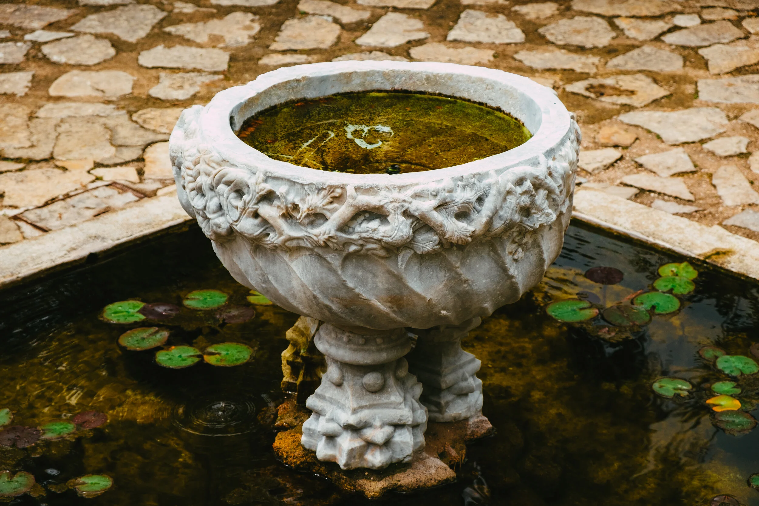 DSCF6092.jpg