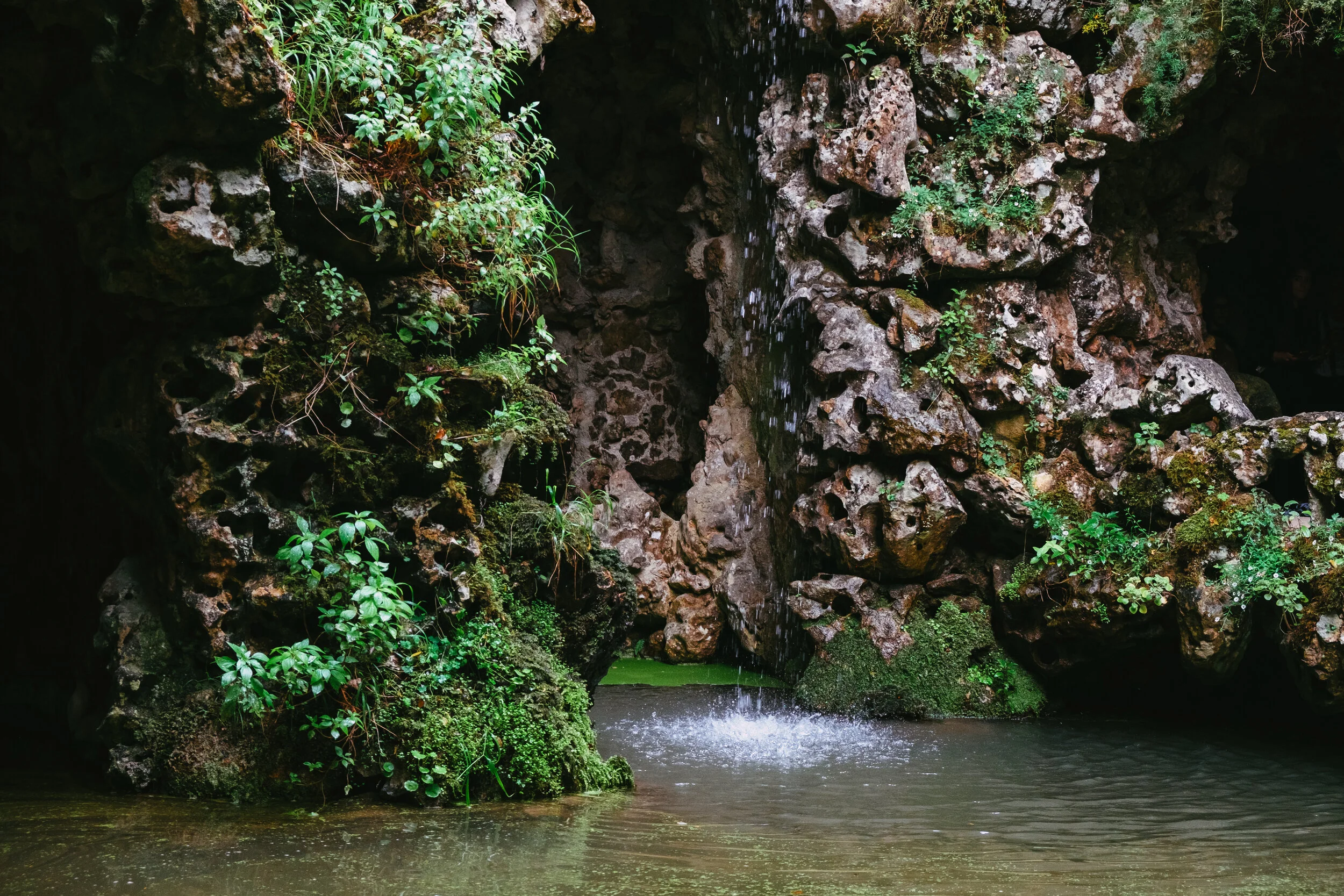 DSCF6143.jpg