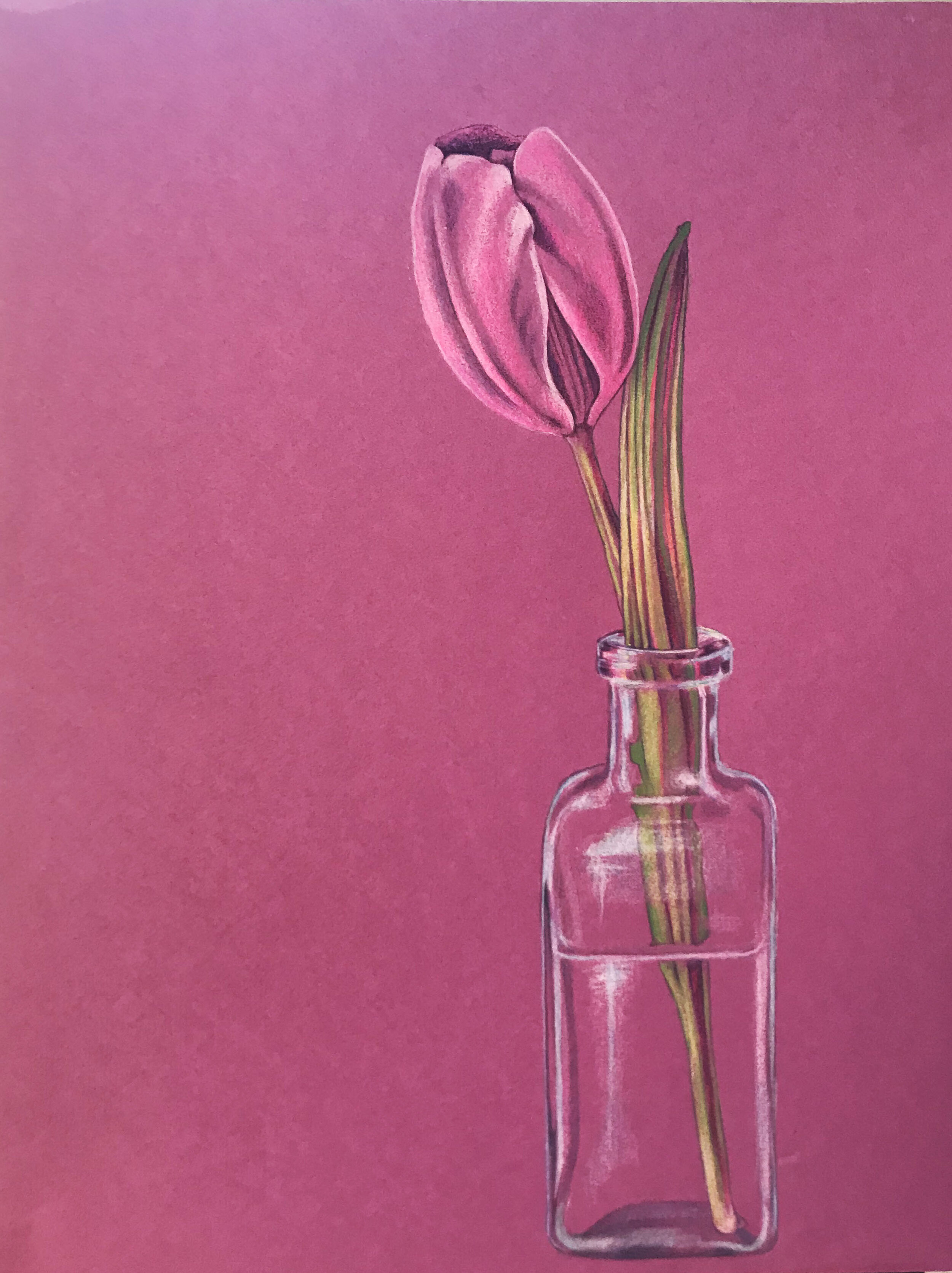 Purple Tulip Vase.jpg