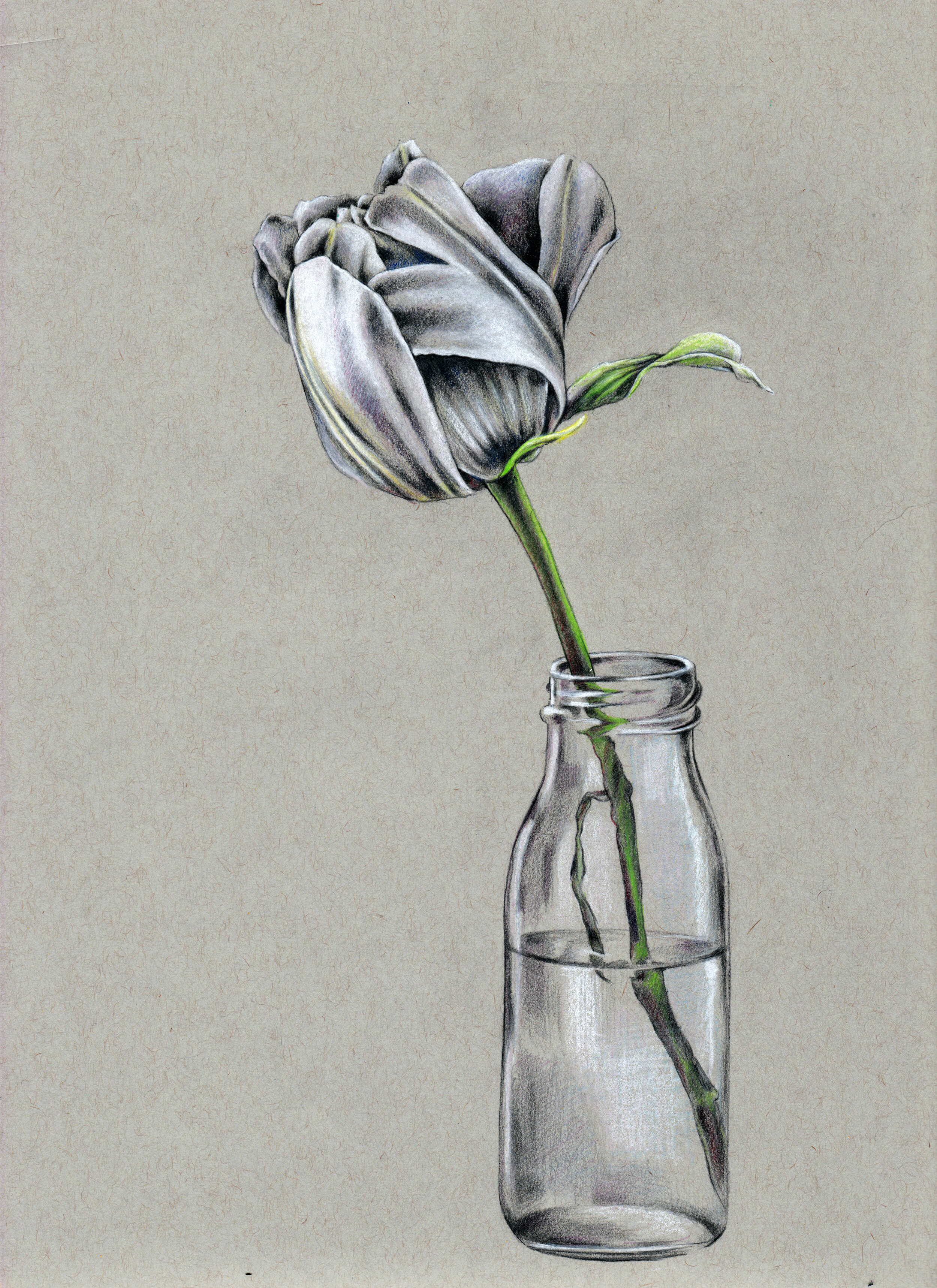 Grey Flower.jpg