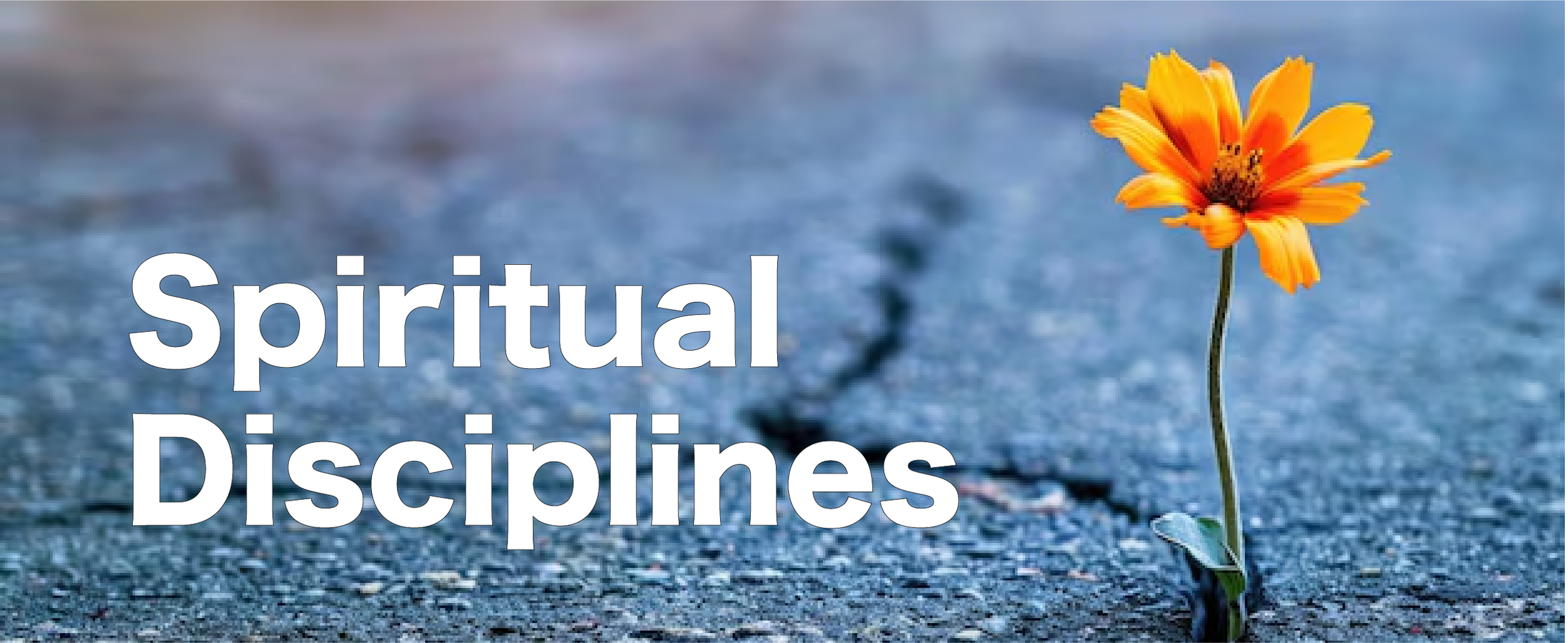 Spiritual Discipliines_Logo_Rectangle_3_cropped.png