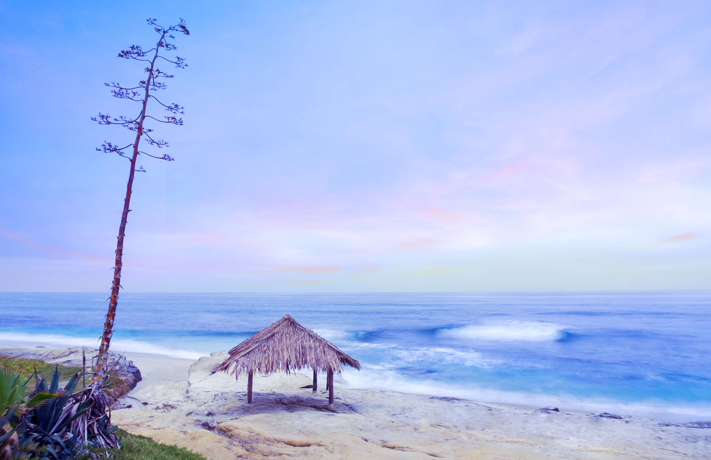 Windansea Beach
