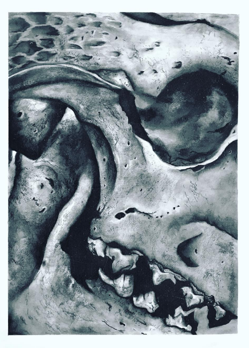 Screen Shot 2016-12-18 at 11.56.59 AM.png