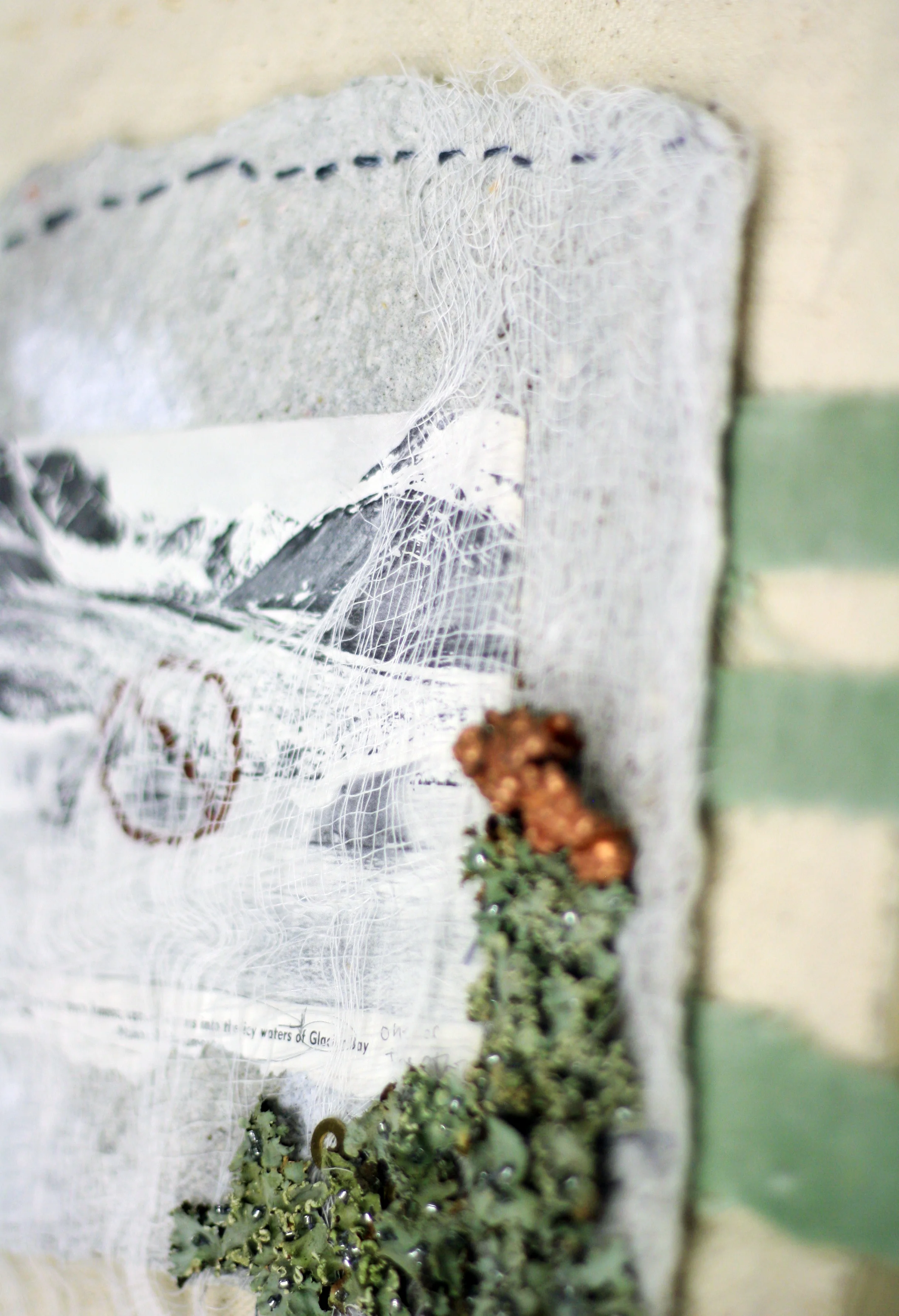 detail_1.JPG