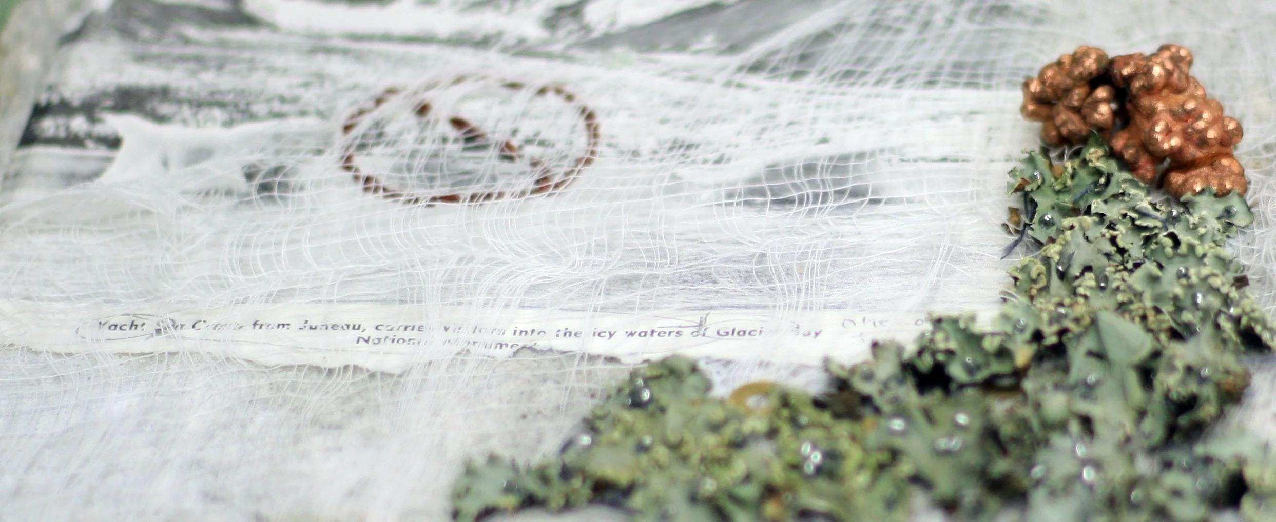 detail_2.JPG
