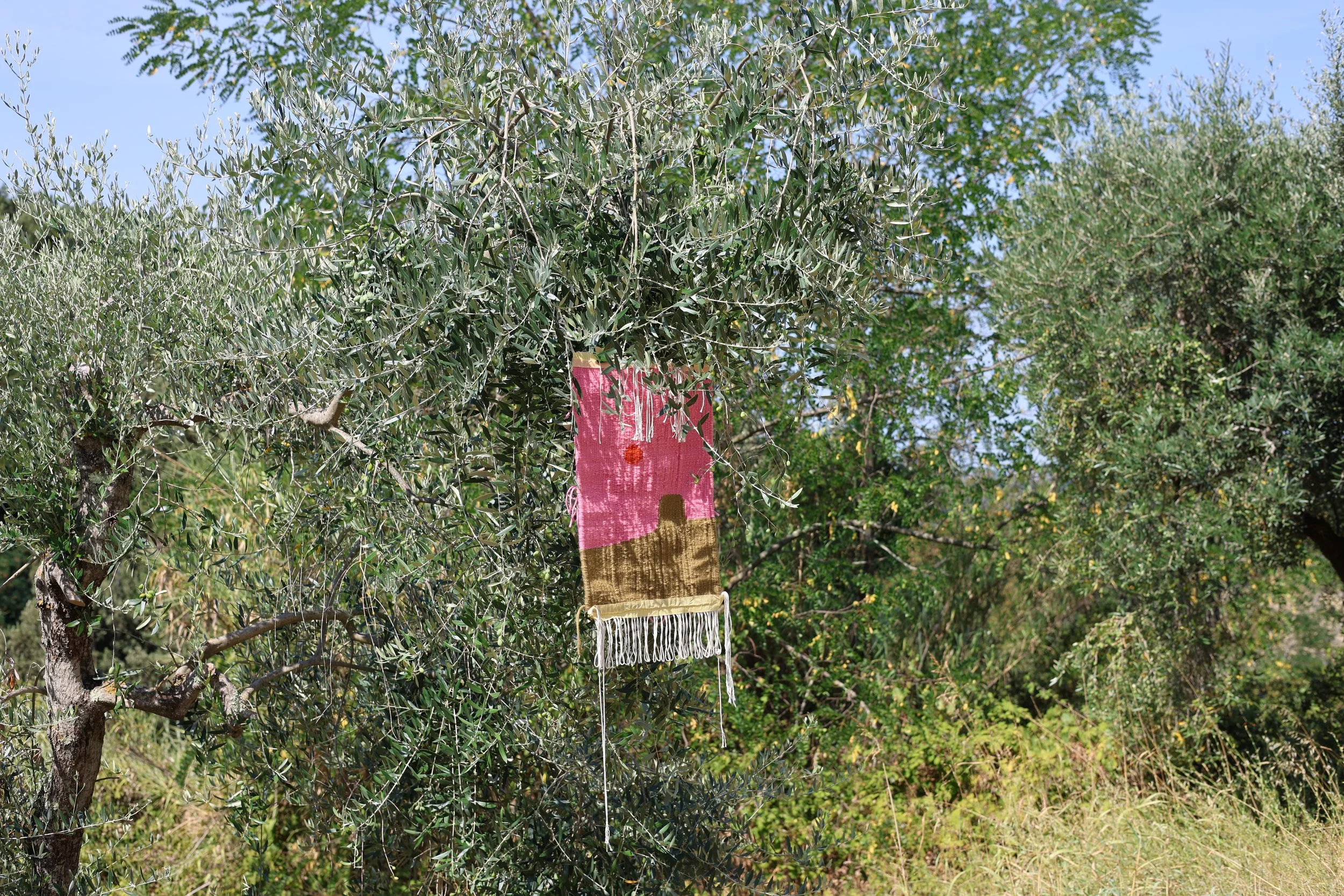 IMG_6983.JPG