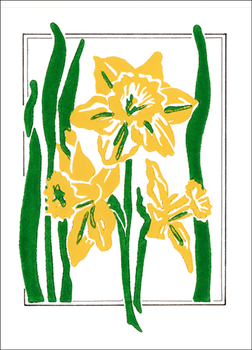 DaffodilWHITE GB web.jpg