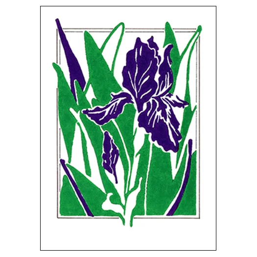 IrisWHITE+GB+web+SQ.jpg