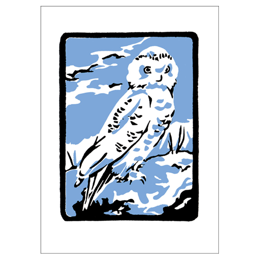 OwlWHITE+LtB+web+SQ.jpg