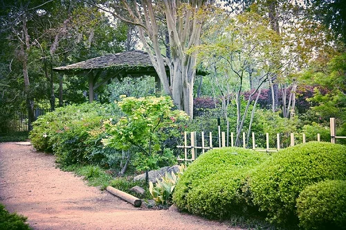 Annual Fall Garden Cleanup