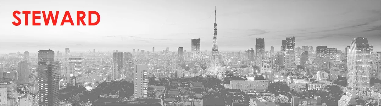 Tokyo Landscape BW STEWARD.jpg