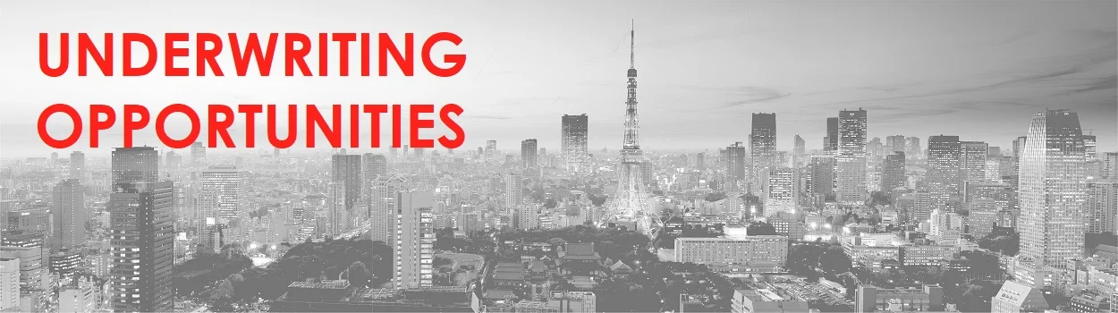 Tokyo Landscape BW UNDERWRITING OPPORTUNITIES.jpg