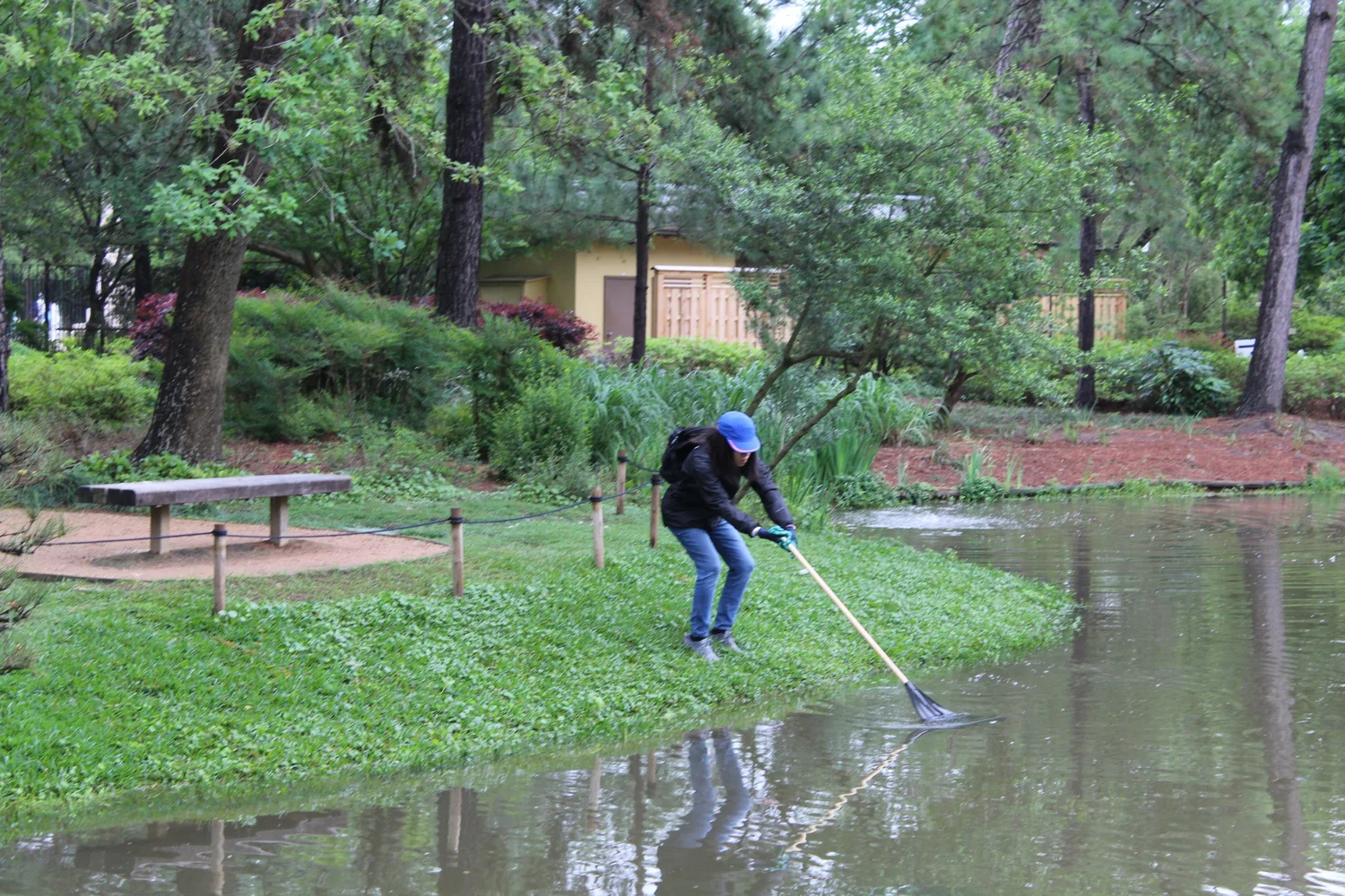 2023 Spring Japanese Garden Cleanup — Japan-America Society of Houston