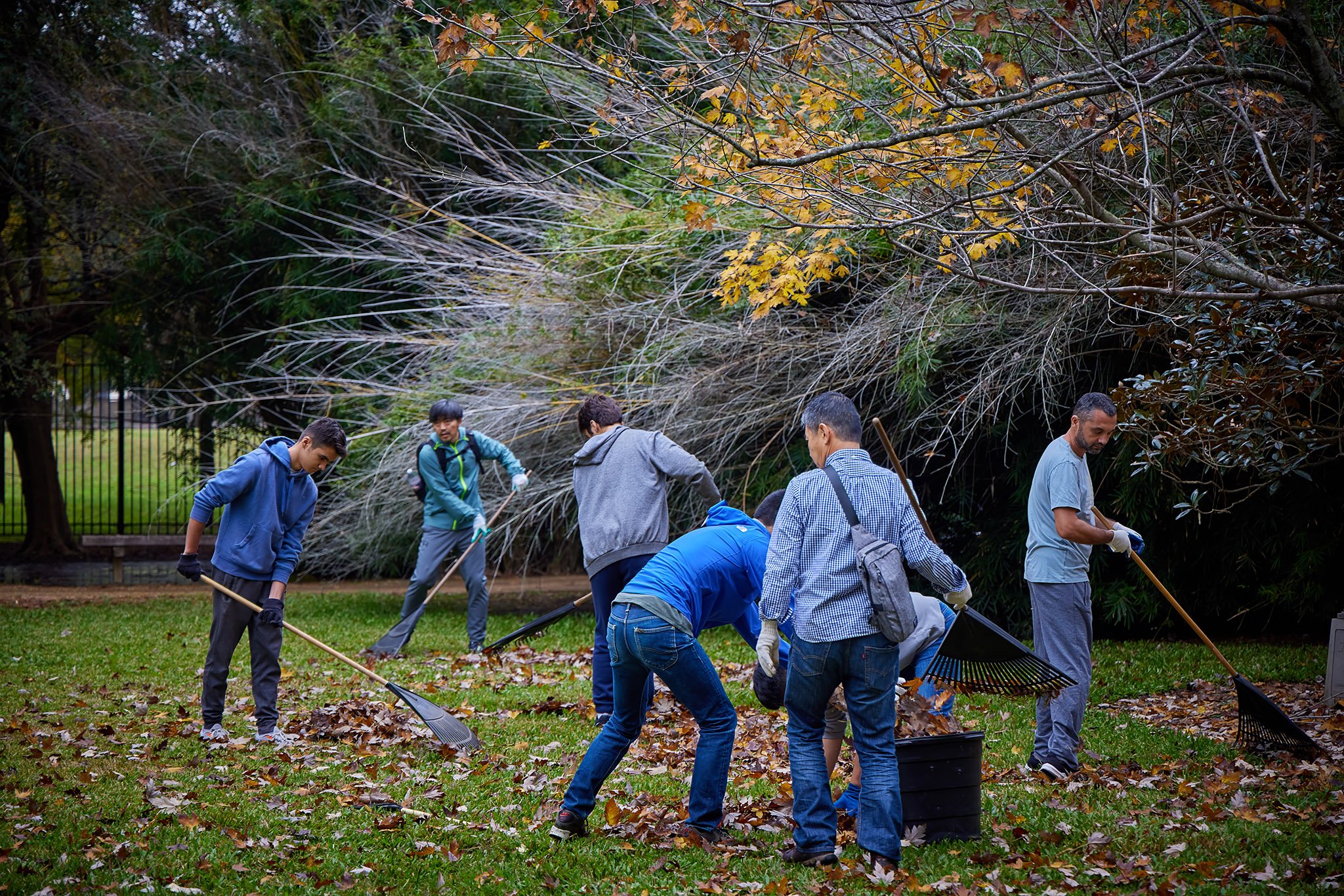 2023-12-02 Hermann Park - Japanese Garden Cleanup Volunteers - 0254.jpg