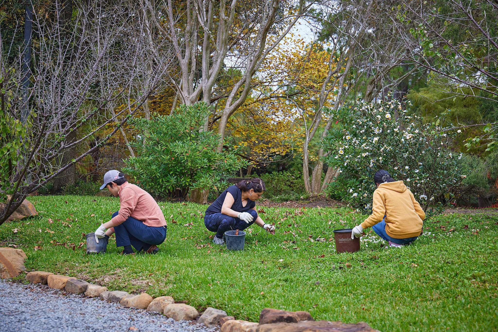 2023-12-02 Hermann Park - Japanese Garden Cleanup Volunteers - 0454.jpg