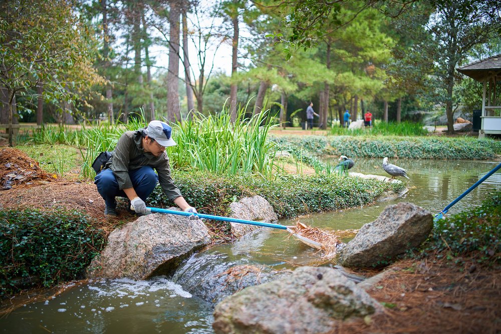 2023-12-02 Hermann Park - Japanese Garden Cleanup Volunteers - 0529.jpg
