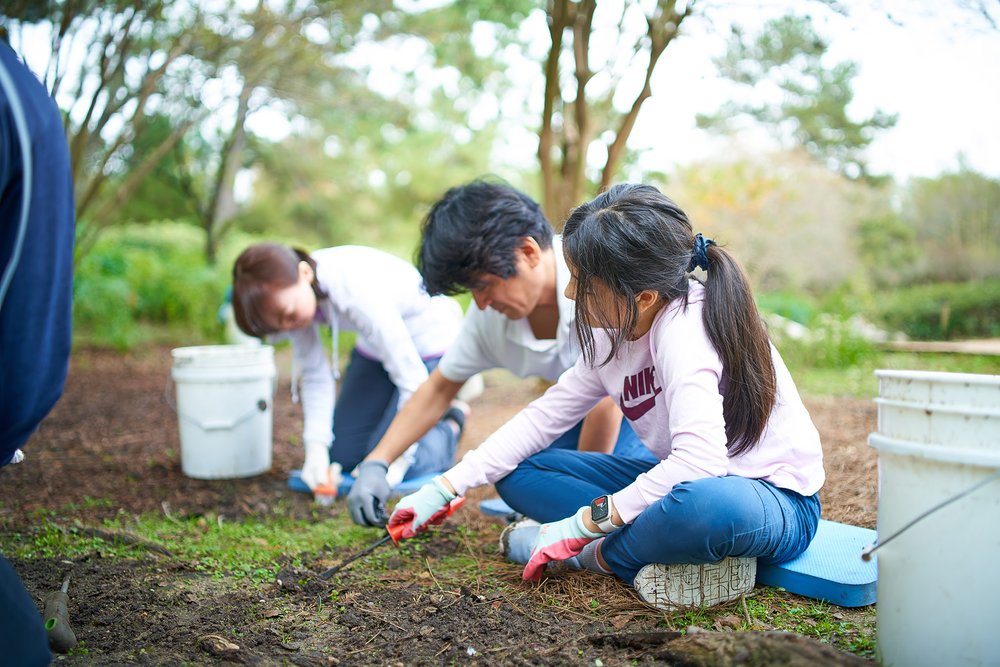2023-12-02 Hermann Park - Japanese Garden Cleanup Volunteers - 0738.jpg