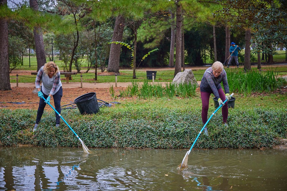 2023-12-02 Hermann Park - Japanese Garden Cleanup Volunteers - 0548.jpg