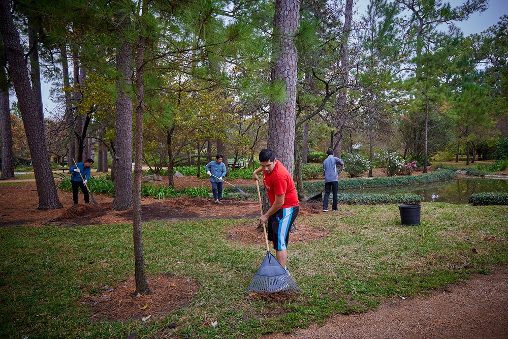 2023-12-02 Hermann Park - Japanese Garden Cleanup Volunteers - 0247.jpg