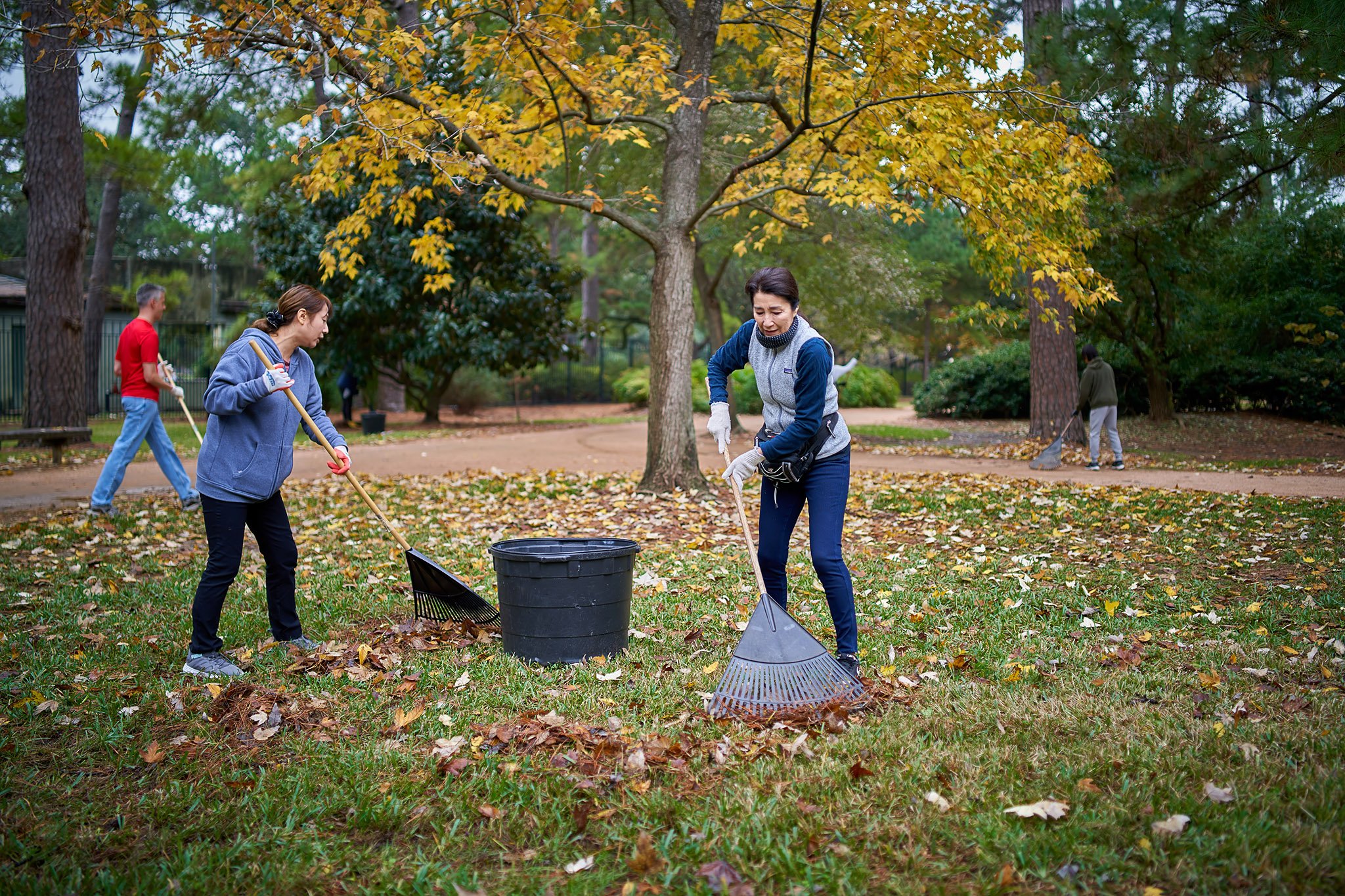 2023-12-02 Hermann Park - Japanese Garden Cleanup Volunteers - 0225.jpg