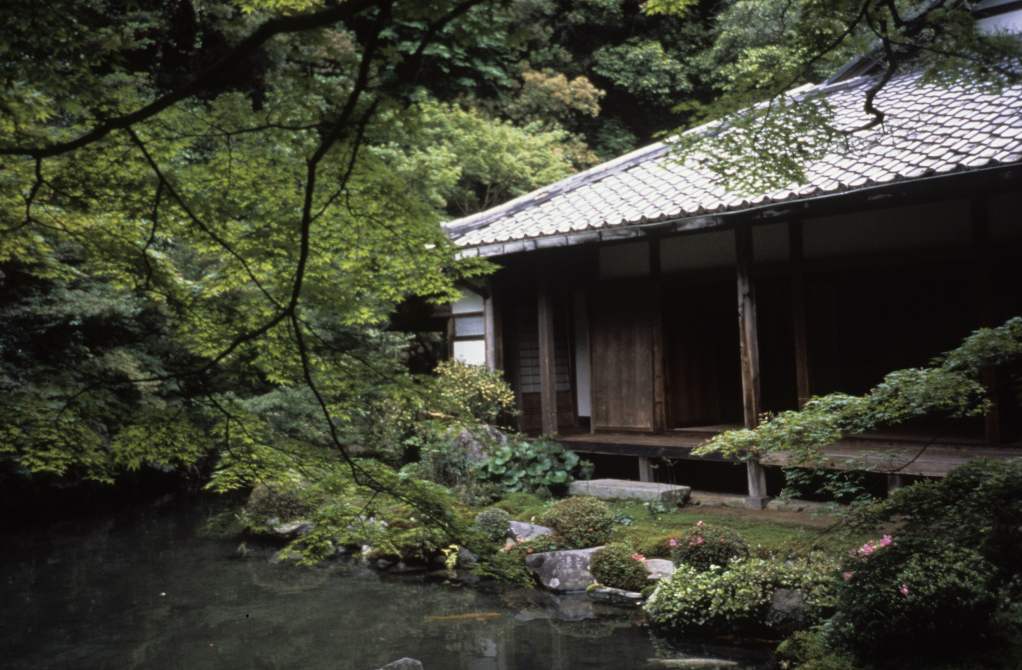 thumbnail_image002.png