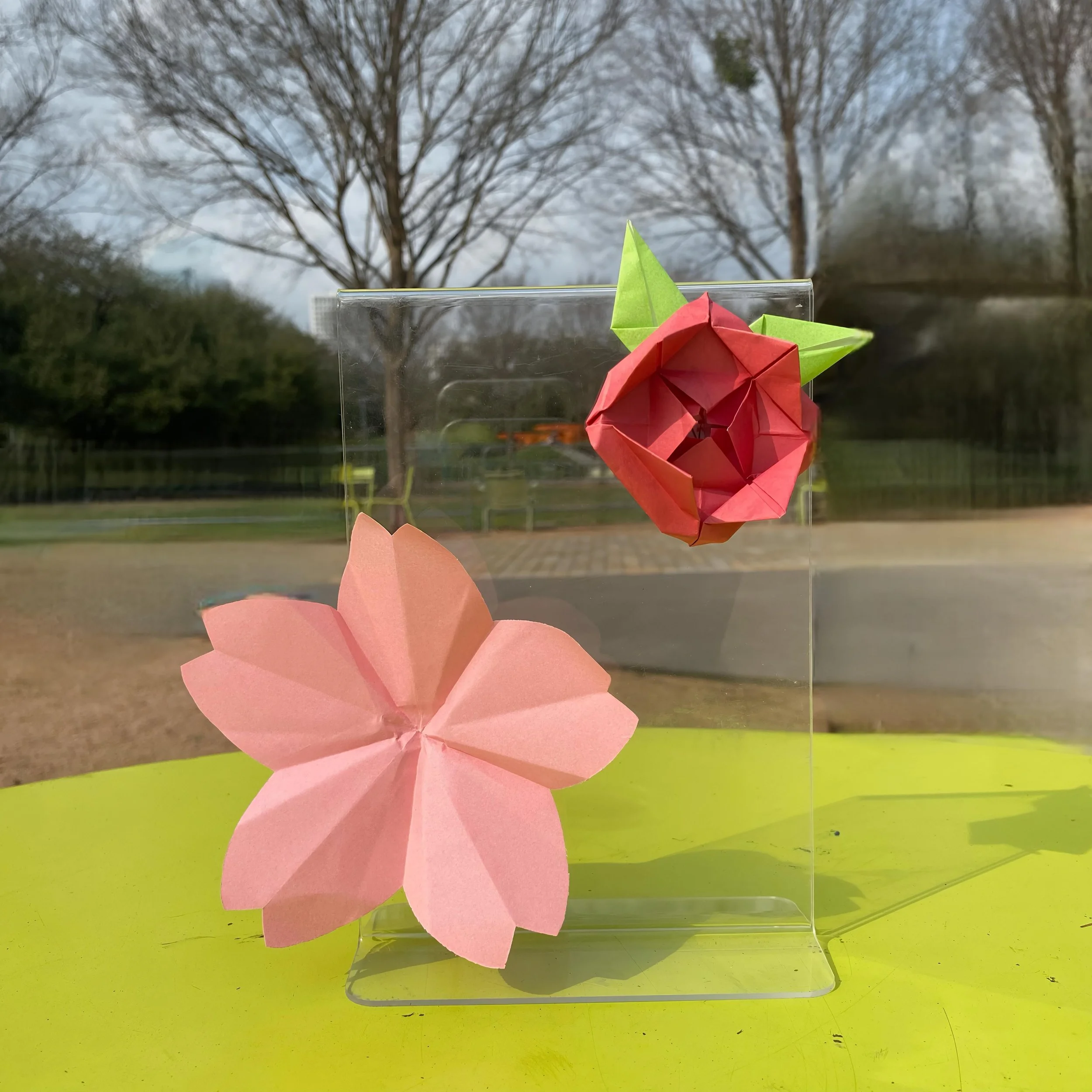 National Flower.jpeg