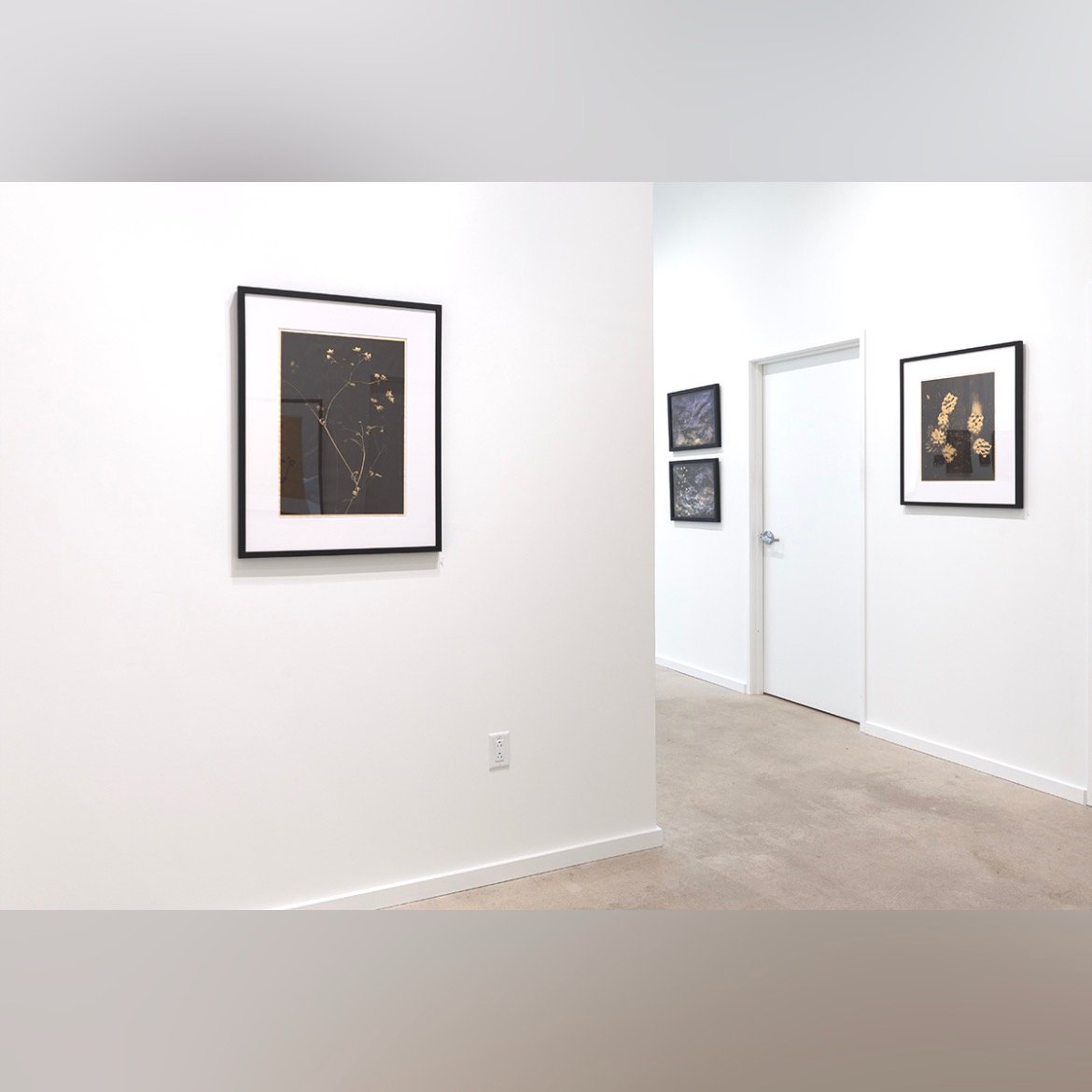   PDNB Gallery, photo by Allison Baldwin  