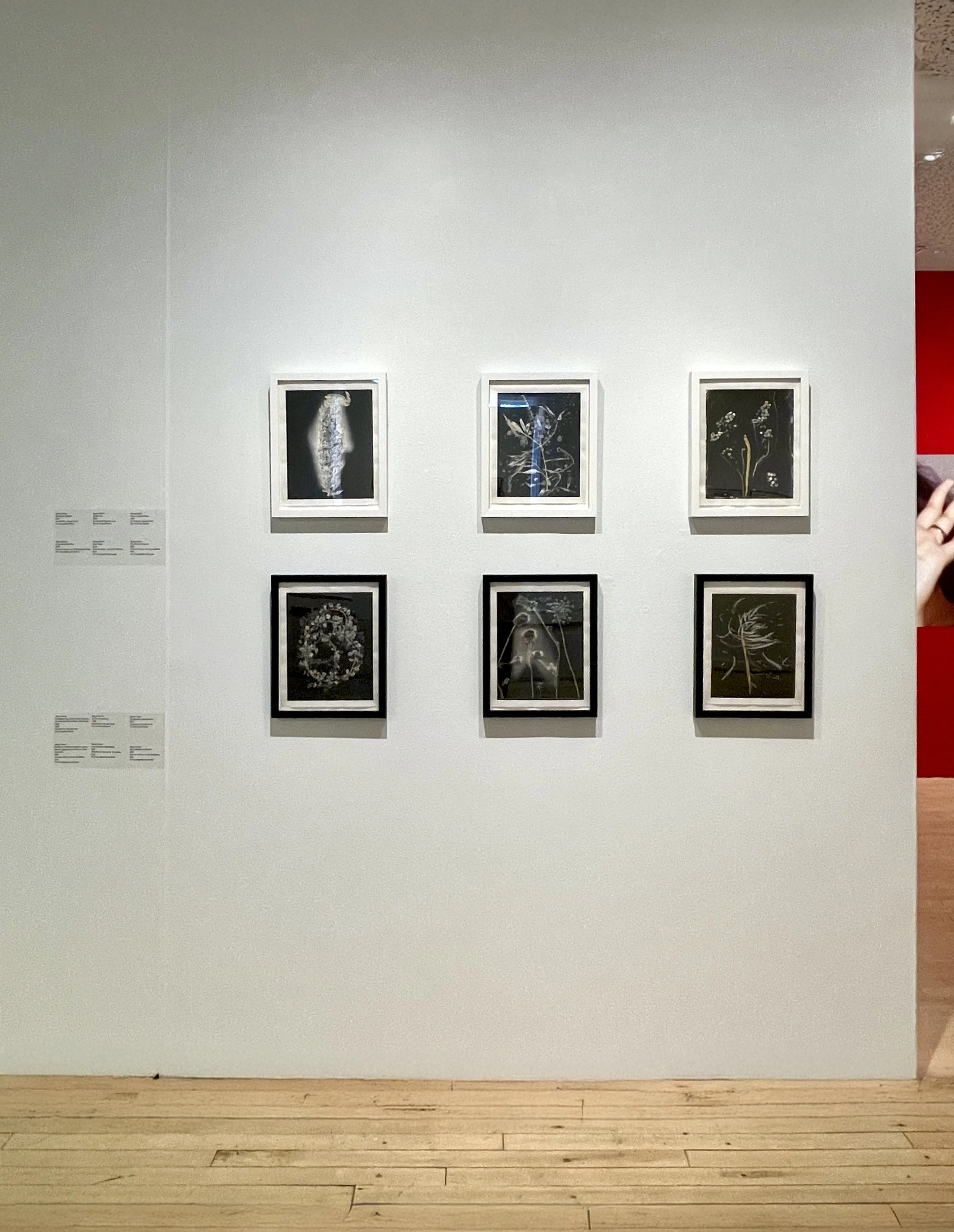 Installation, Beyond Resilience, curated by Hamidah Glasgow, Fort Collins Museum of Art