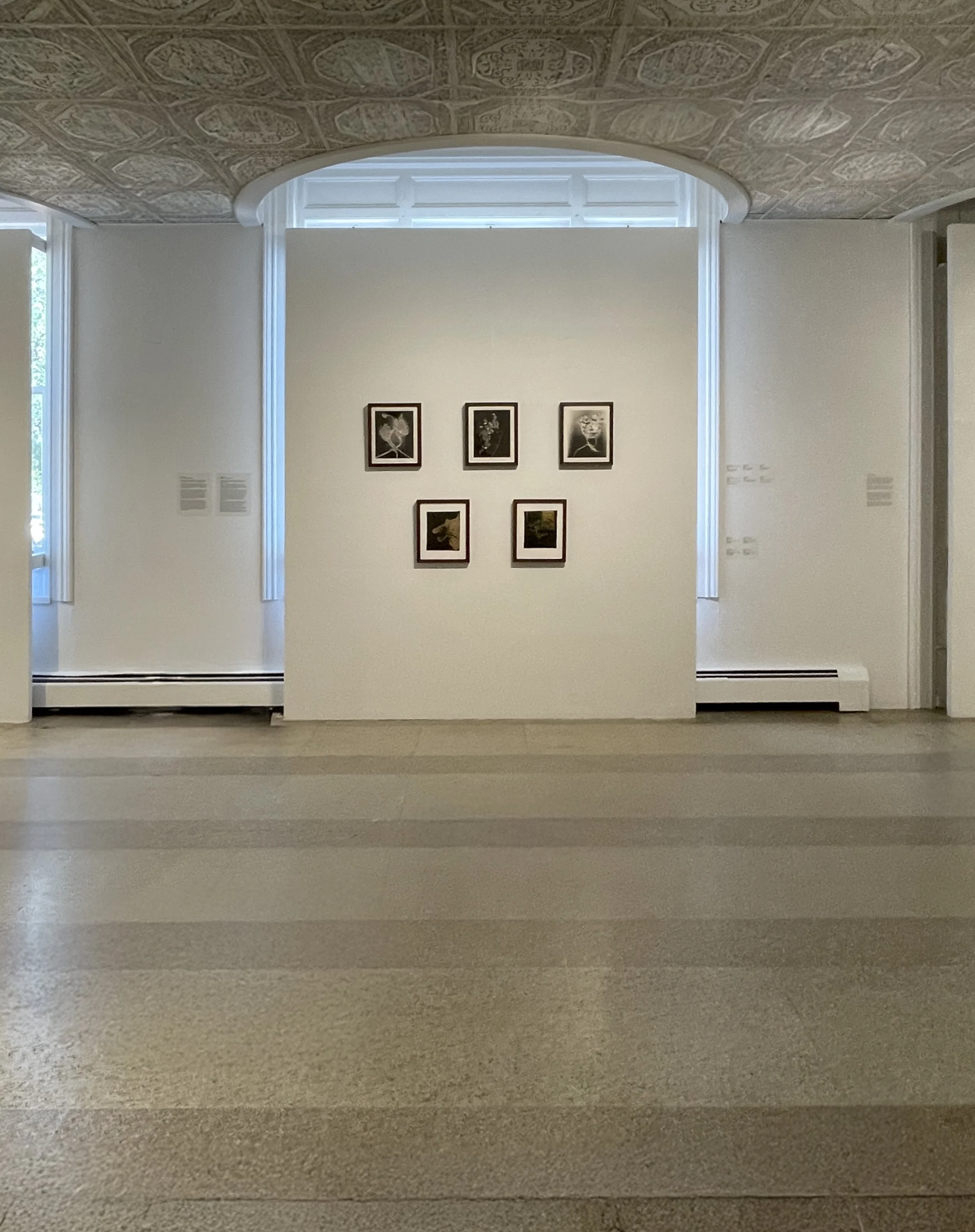 Installation, Beyond Resilience, curated by Hamidah Glasgow, Fort Collins Museum of Art