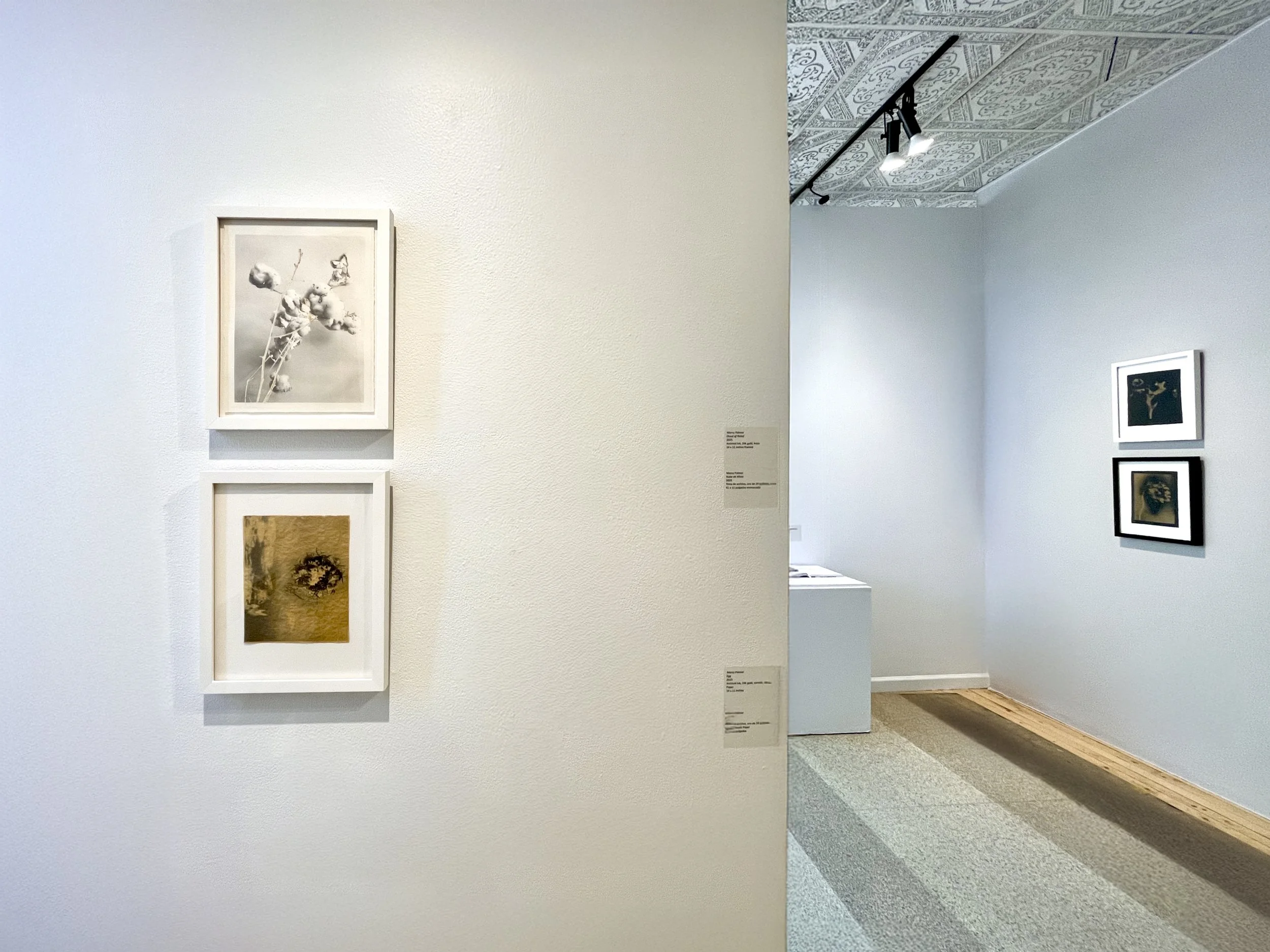 Installation, Beyond Resilience, curated by Hamidah Glasgow, Fort Collins Museum of Art