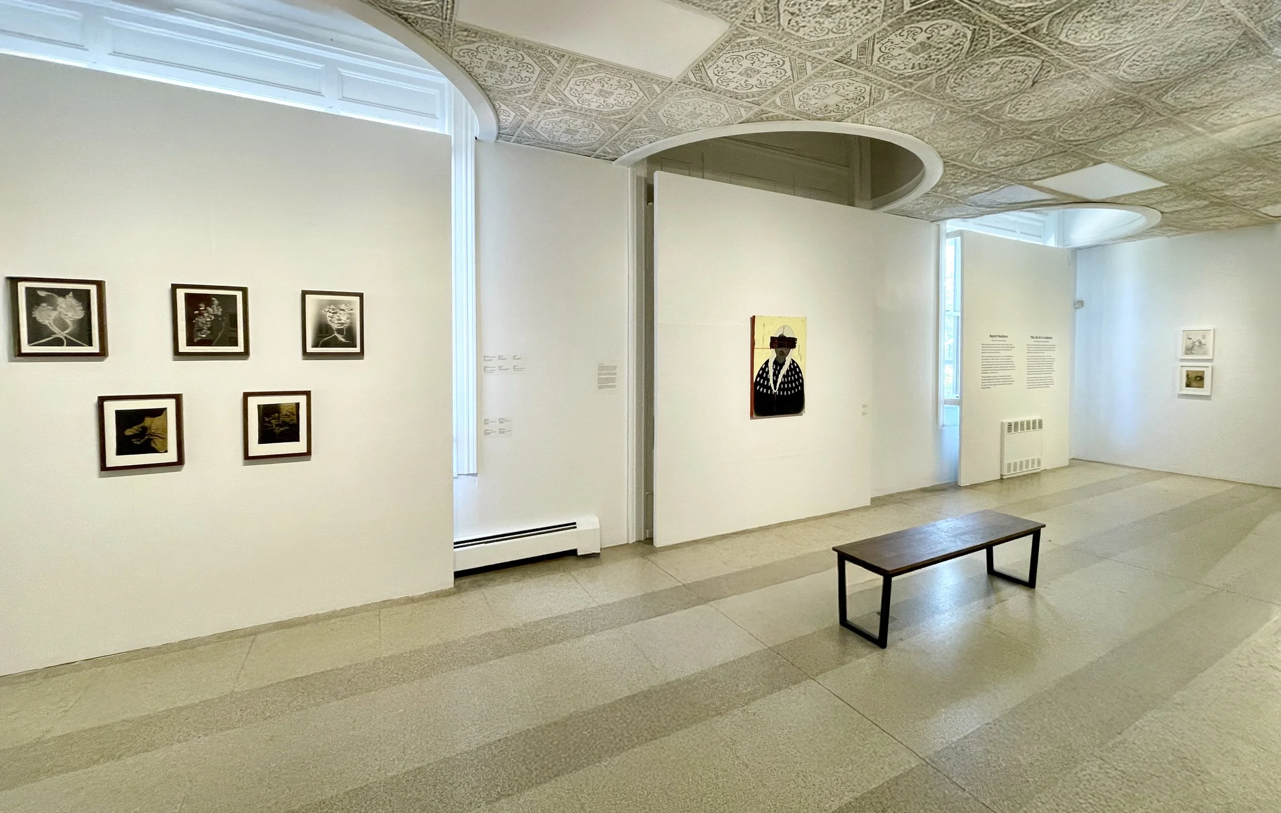 Installation, Beyond Resilience, curated by Hamidah Glasgow, Fort Collins Museum of Art
