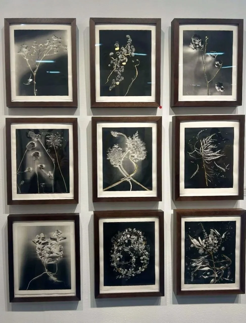 Art on Paper NYC, Treat Gallery booth