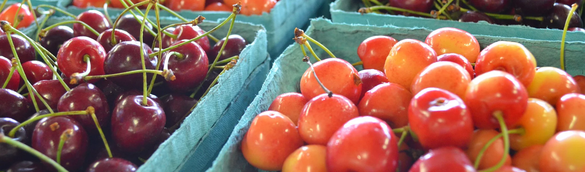 produce banner.jpg
