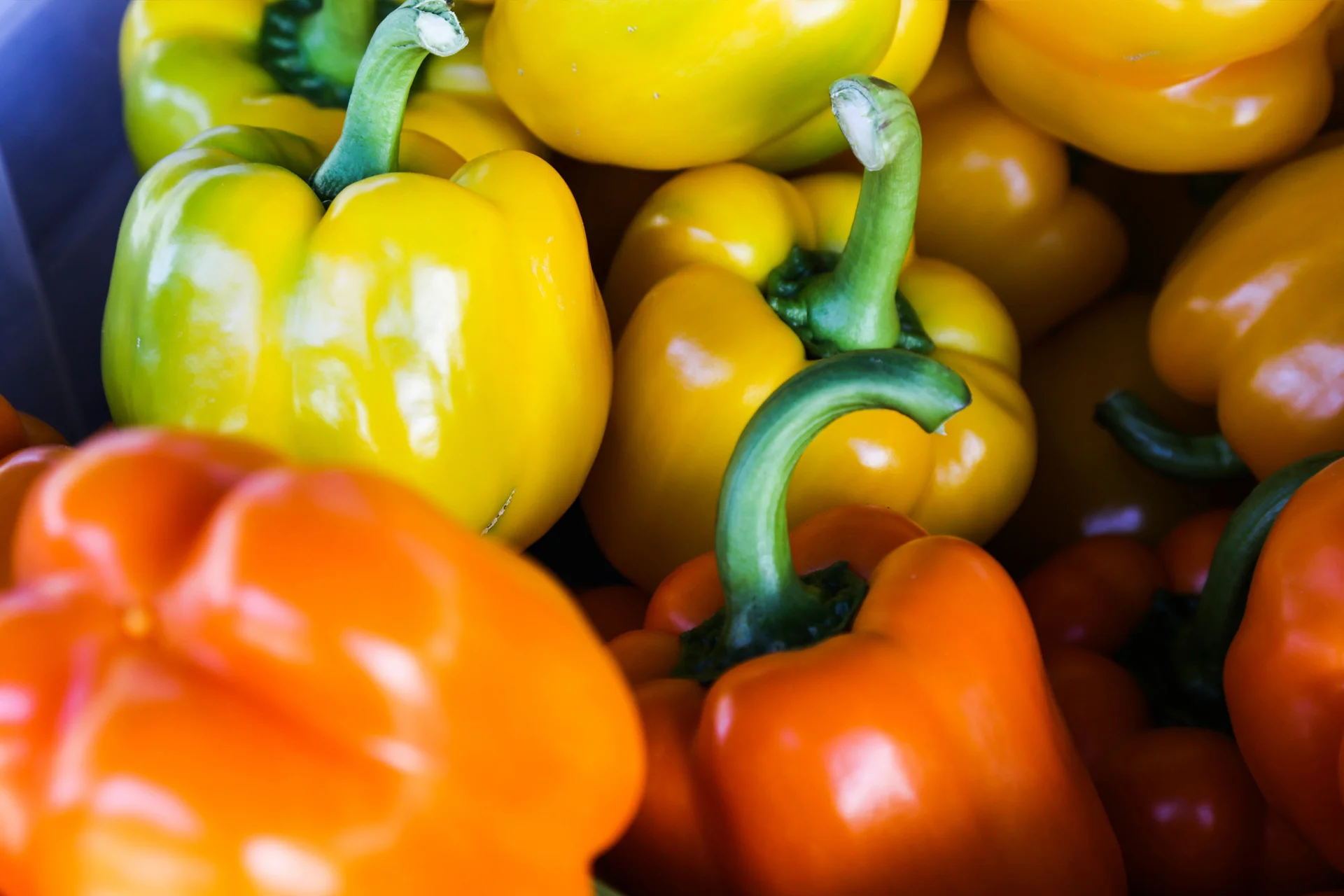 peppers.jpg