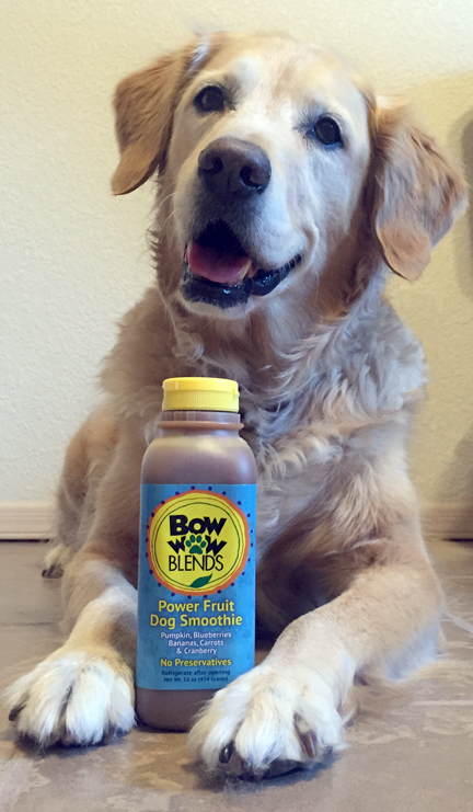 Meet Ruby - the sweet pup with tummy troubles and inspiration for Bow Wow Blends.