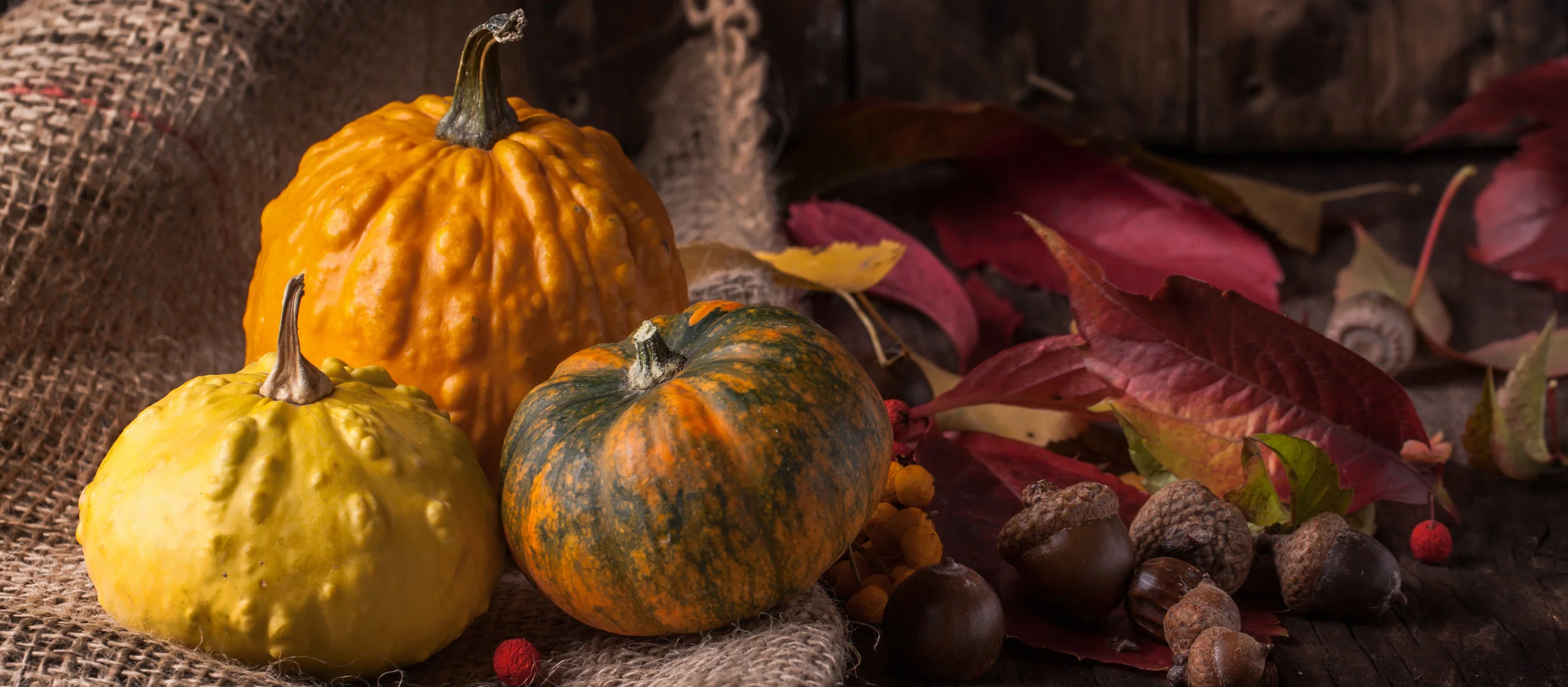 autumn food.jpg