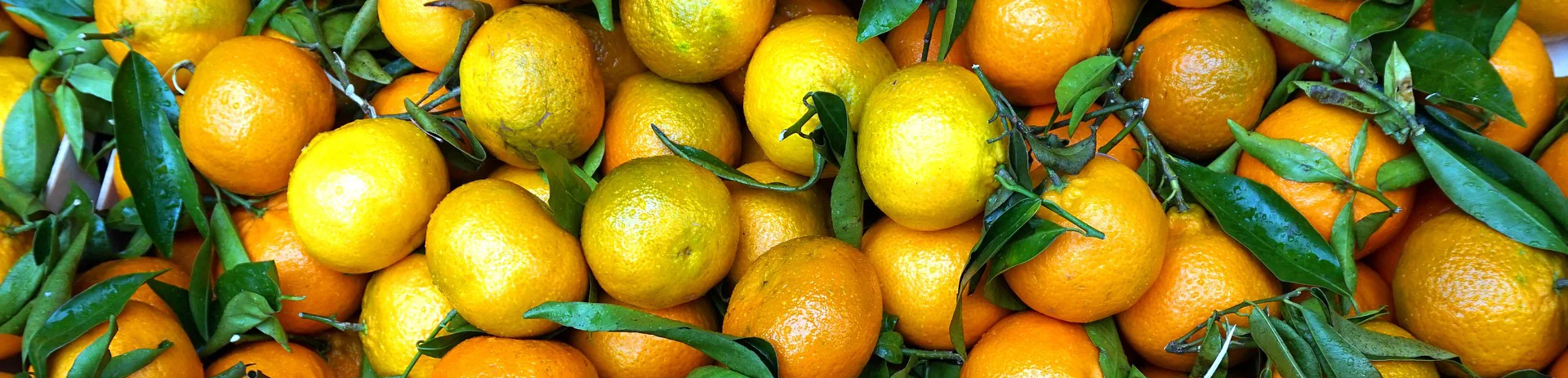 tangerines.jpg
