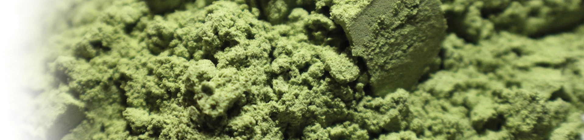 spirulina.jpg
