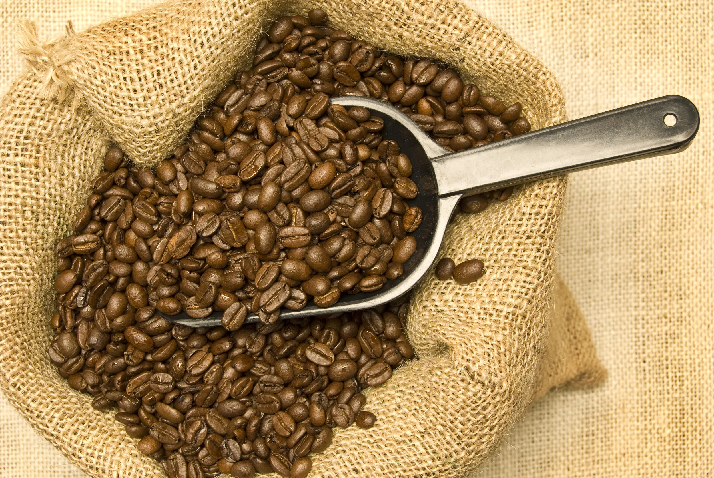 scoop-full-of-coffee-beans_SFSUkR64j.jpg