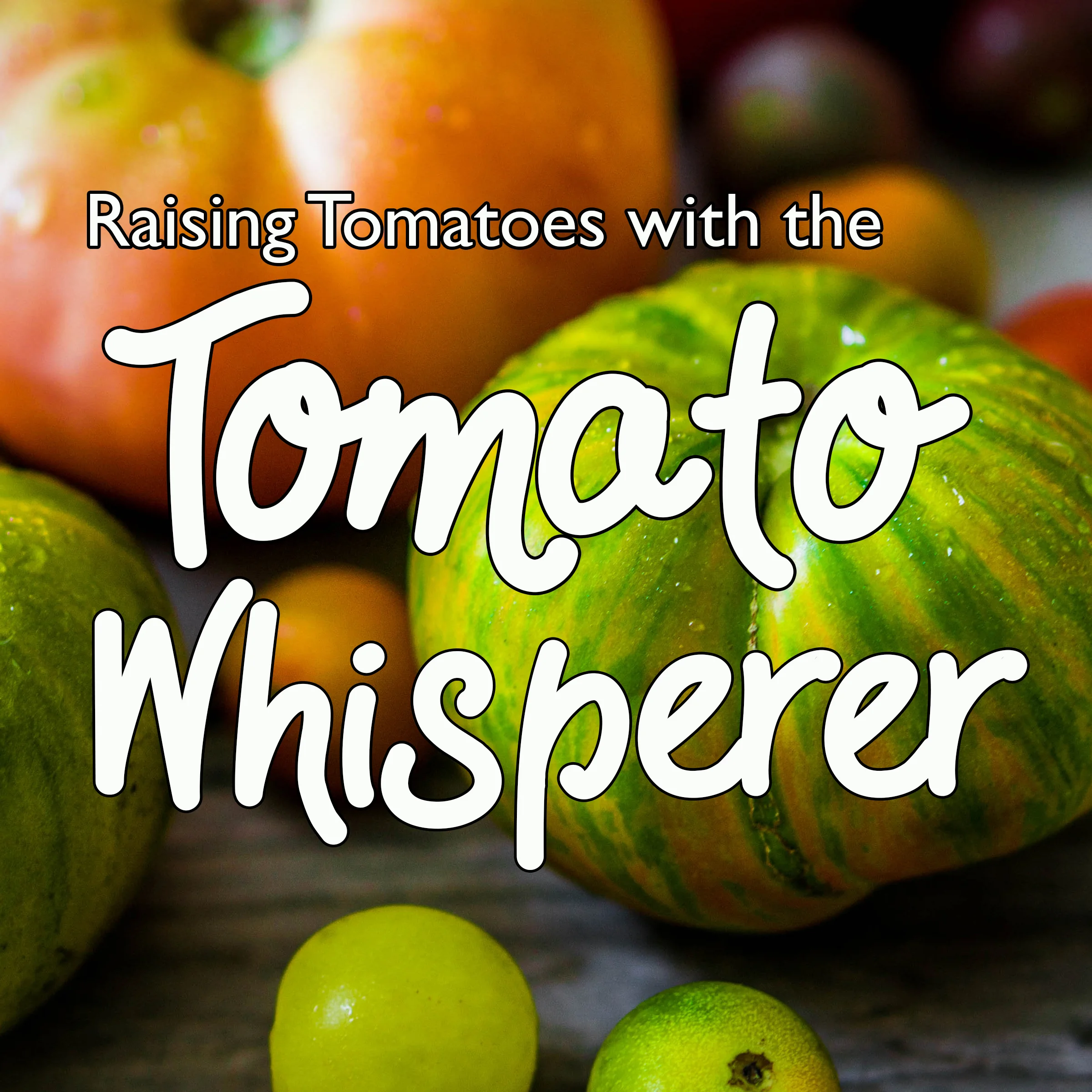 tomato whisperer square.jpg