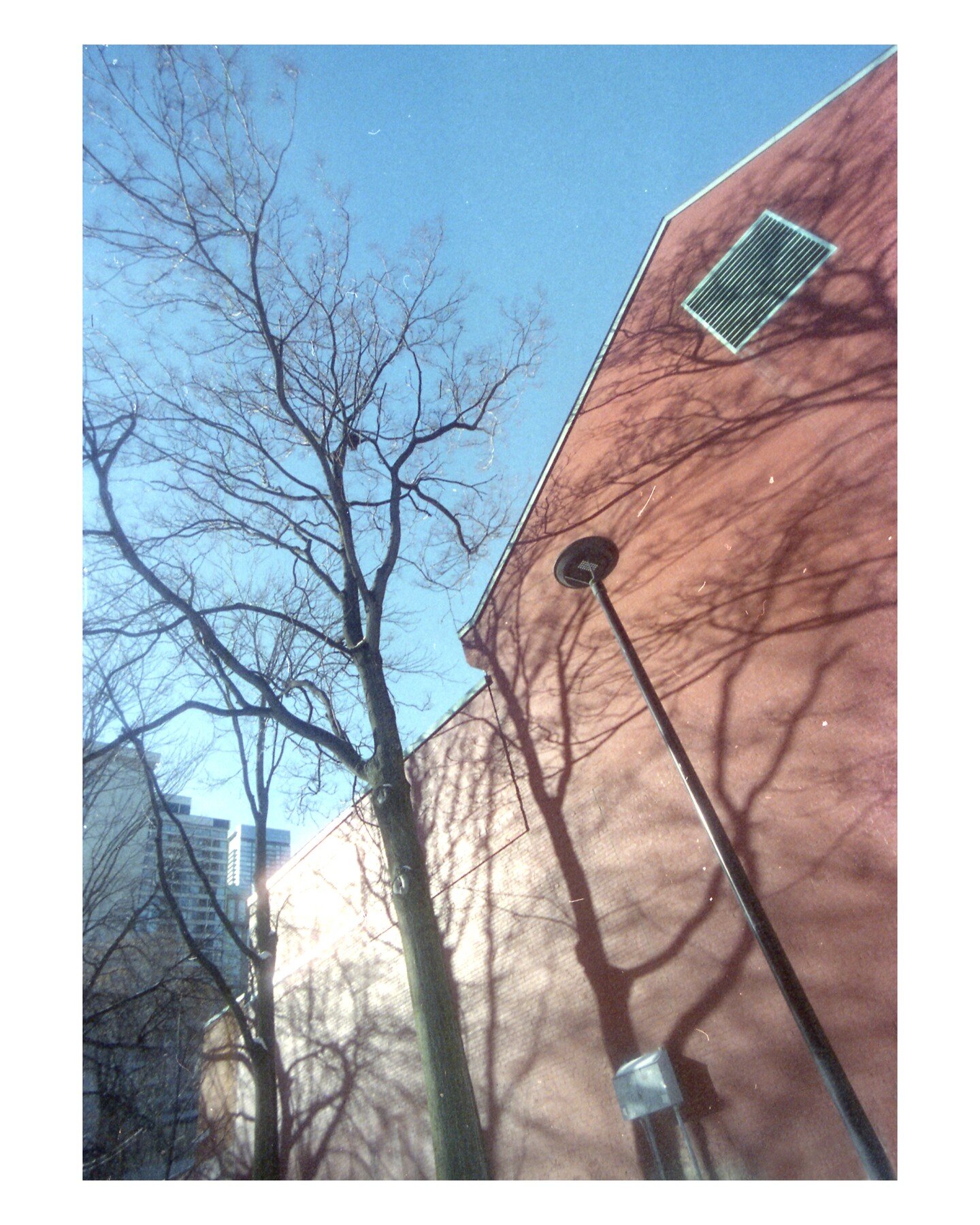 'A very cold day in January this year...'
&bull;
&bull;
&bull;
1985 Nikon F3HP / 17mm Tokina 1:3.5 / Prototype 550T / C41 processing by @bcicamera
&bull;
&bull;
#tungstenfilm #colourcoordination #colourchoices #redwhiteblueday #coldconcrete #keepfilm