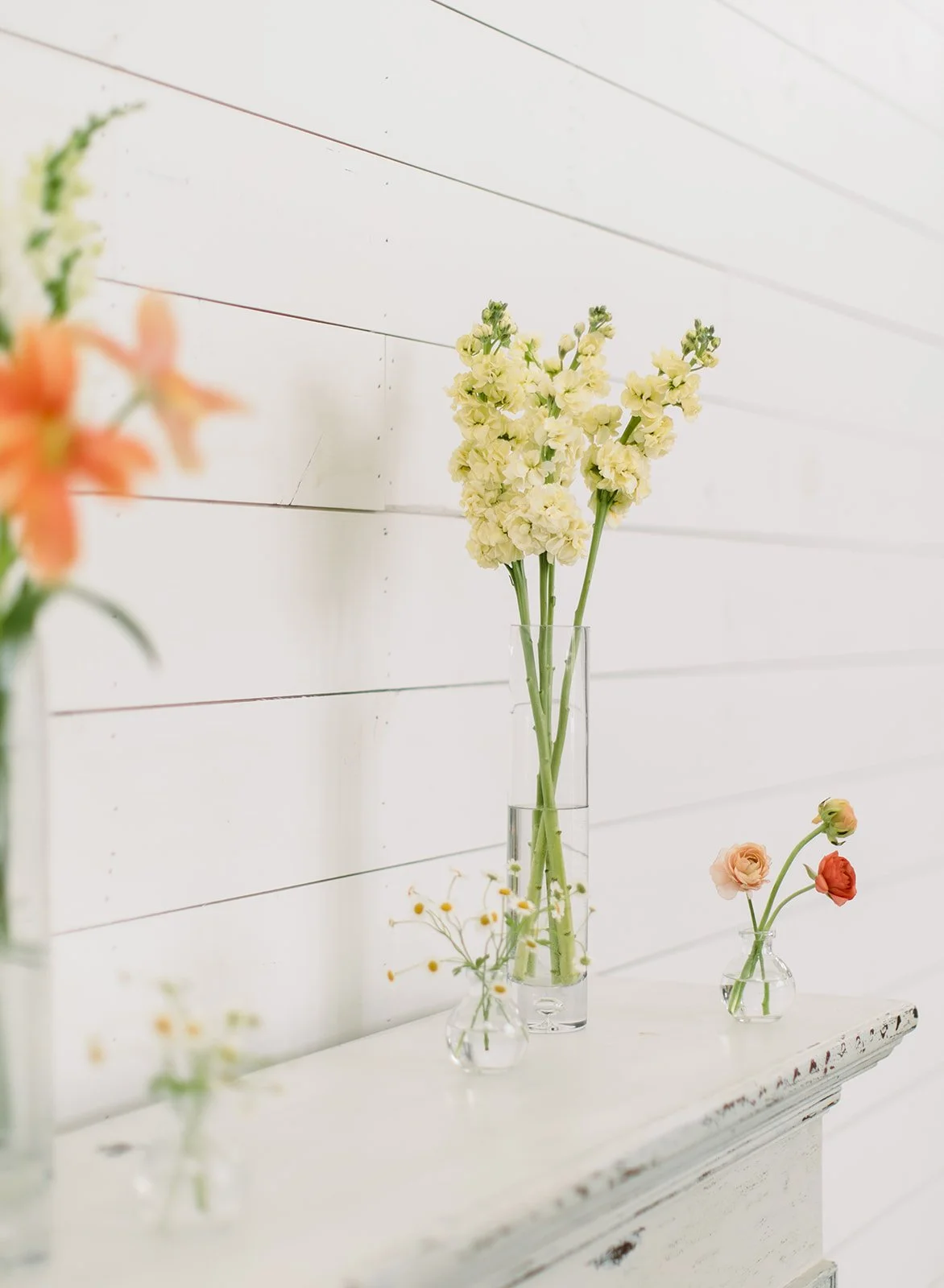 Minimal bud vase floral styling designed by 1209 Creative at Providence Vineyard in Hebron Illinois, featuring light airy wedding florals with a modern editorial feel
