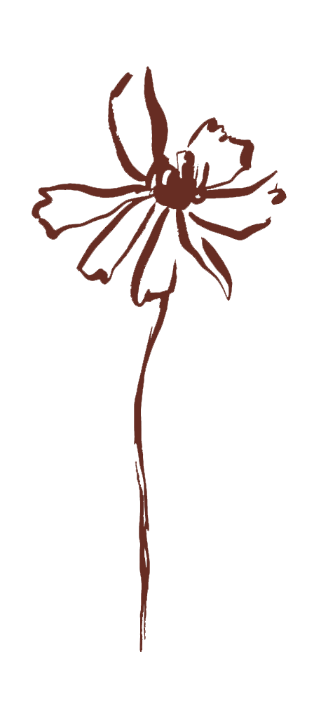 Wedding &amp; Event Florist | Madison, Wisconsin + Chicago, Illinois + Phoenix, Arizona 