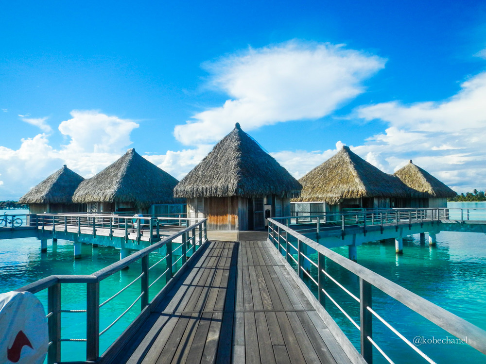 hotel bora bora st regis-7.jpg