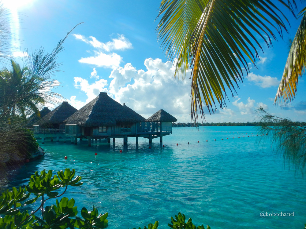 hotel bora bora st regis-19.jpg