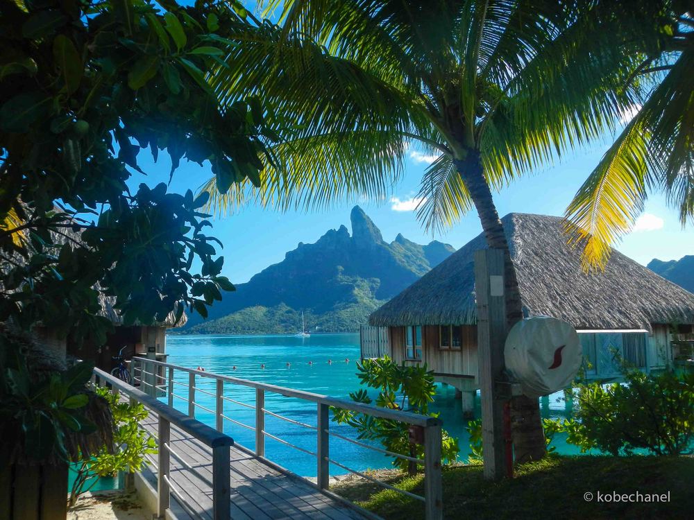 bora bora-1766low.jpg