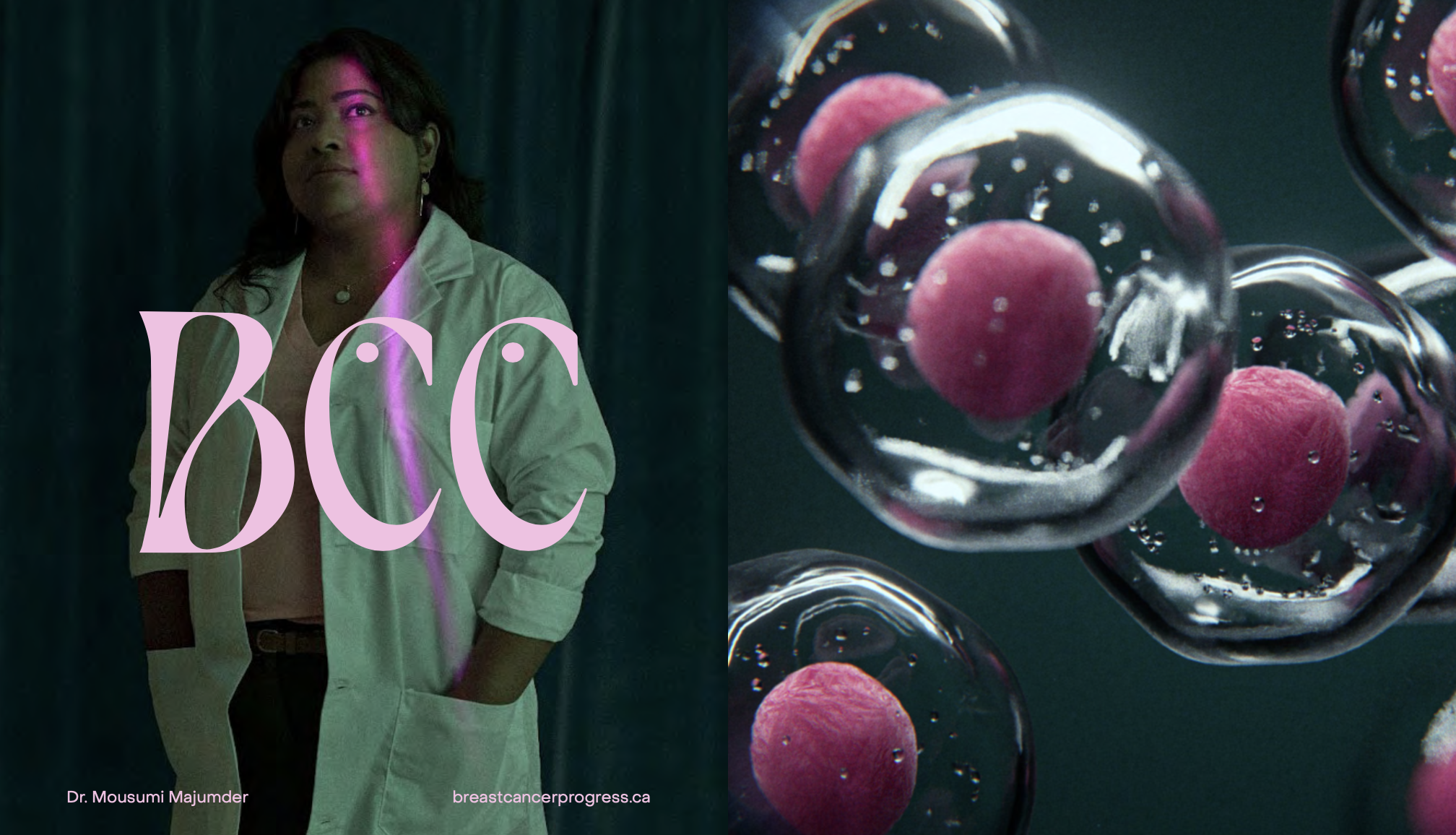 Screen Shot 2023-09-27 at 10.55.54 AM.png