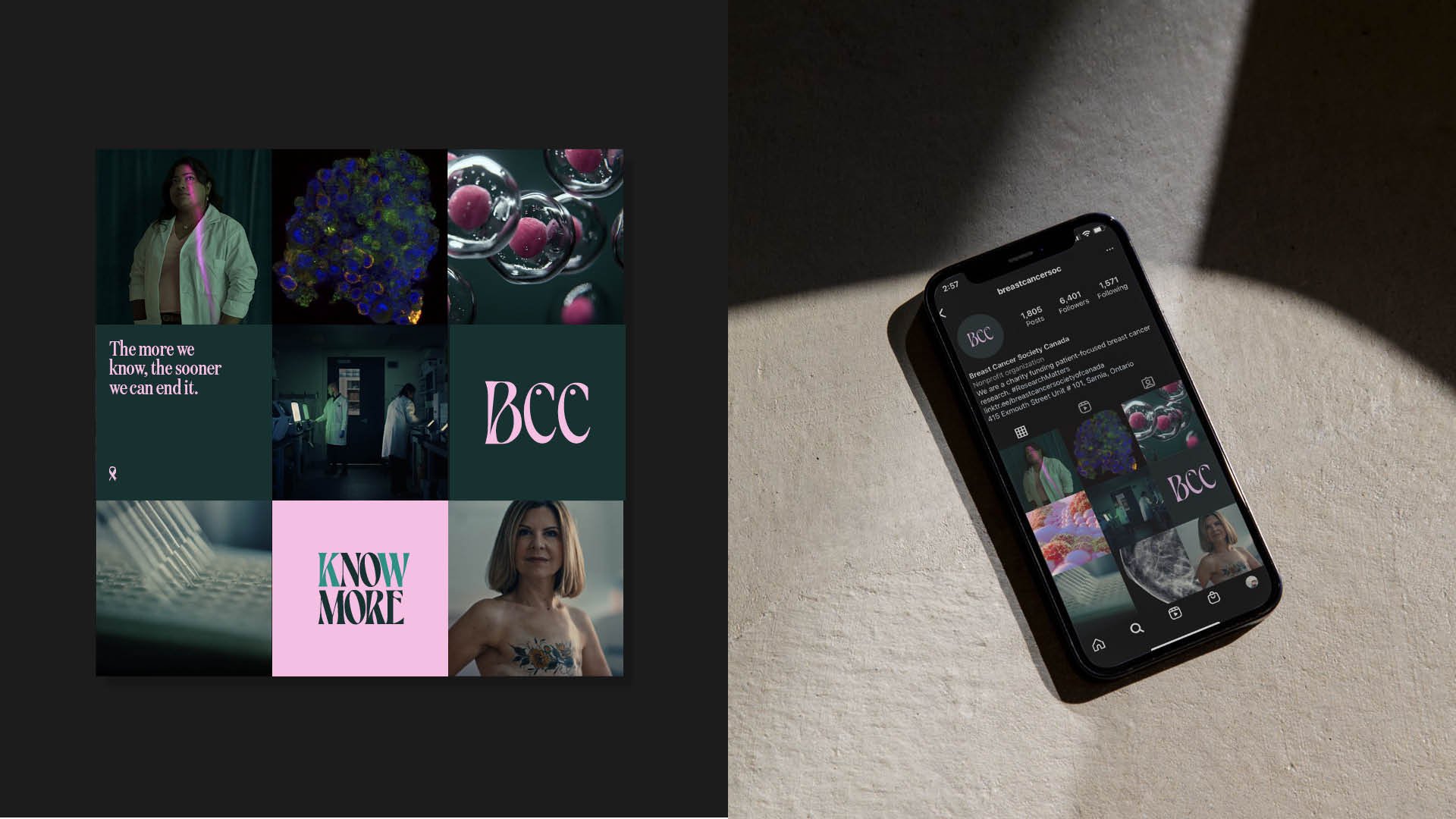 BCC_Case Study17.jpg